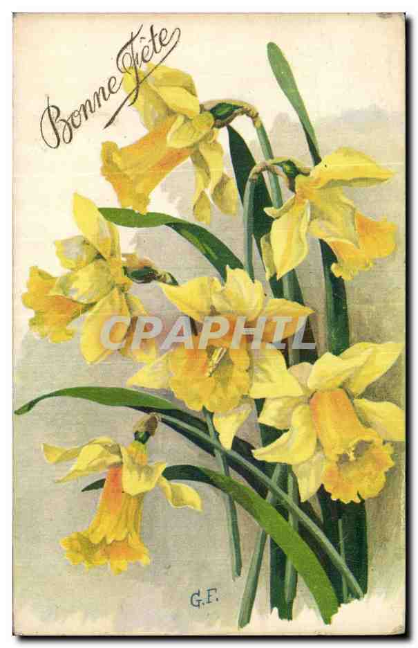 Fleurs - Flowers - Bonne Fete - daffodils - CPA 