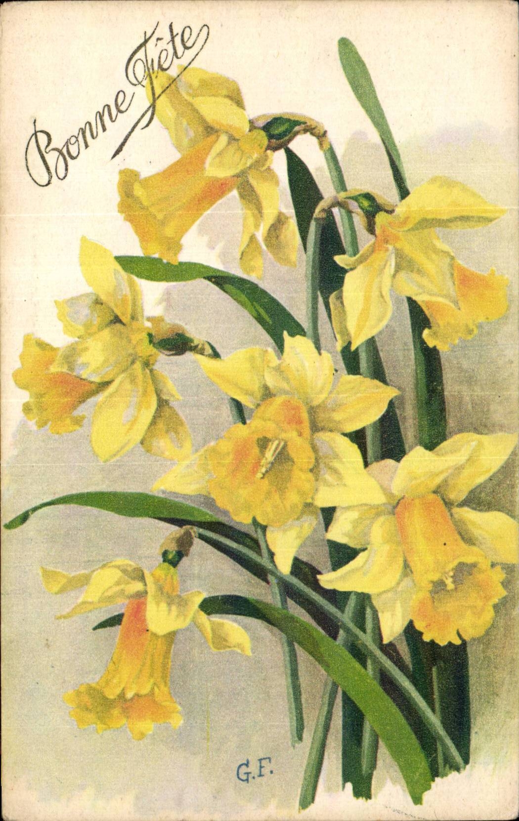 Fleurs - Flowers - Bonne Fete - daffodils - CPA 