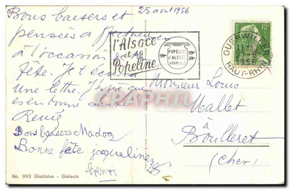 Fleurs - Flowers - CPA  — Verso