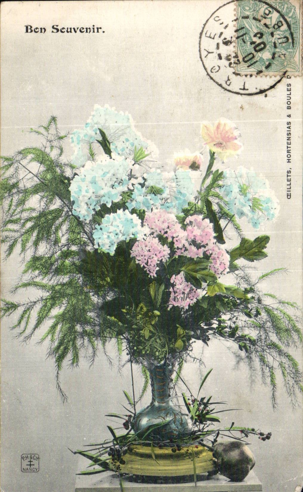 Fleurs - Flowers - pretty white flowers - CPA 