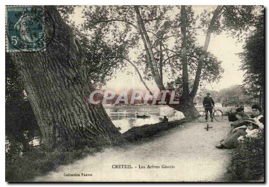 CPA Creteil Les arbres geants