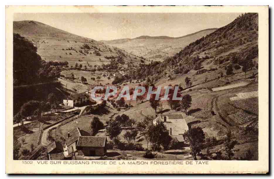 Vue sur Bussang prise de la Maison Forestiere de Taye - CPA 