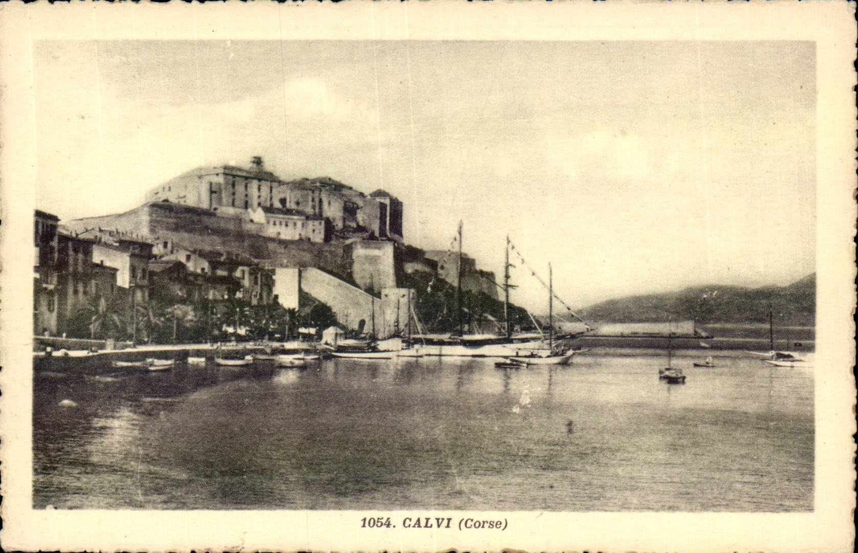 Corse - Haute Corse - Corsica - Calvi - Le Port - CPA 