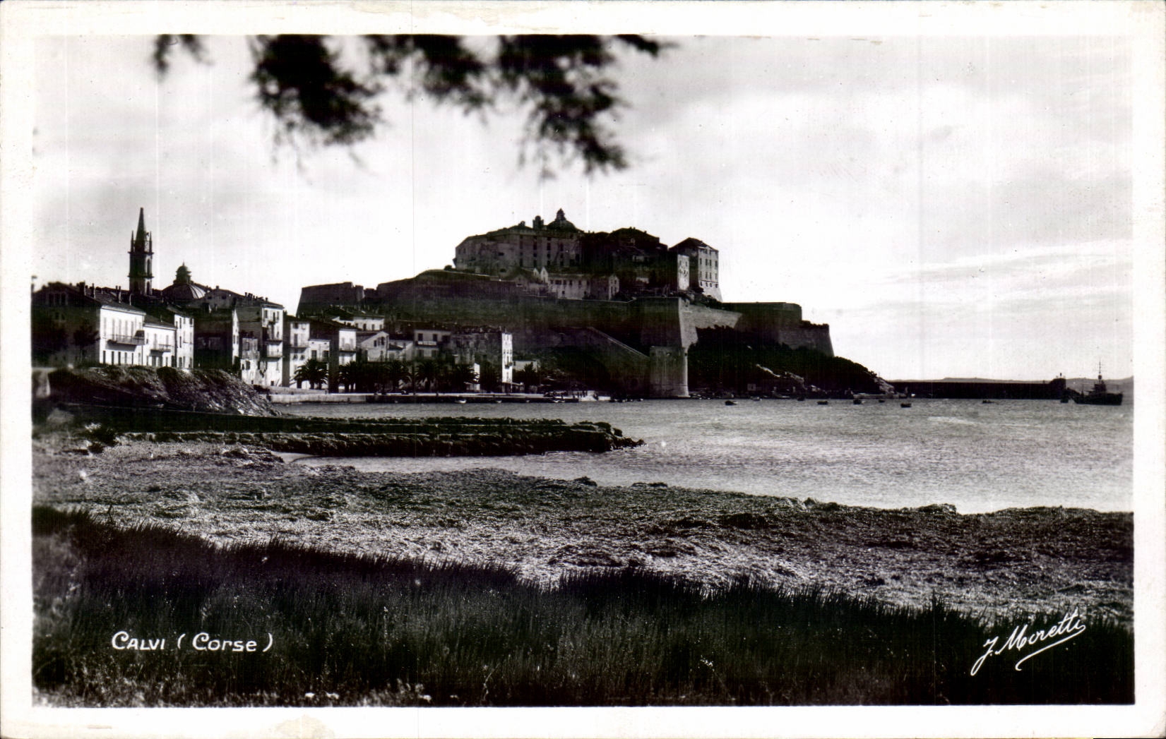 Calvi (Corse) — vue du port et du château — J. Moretti