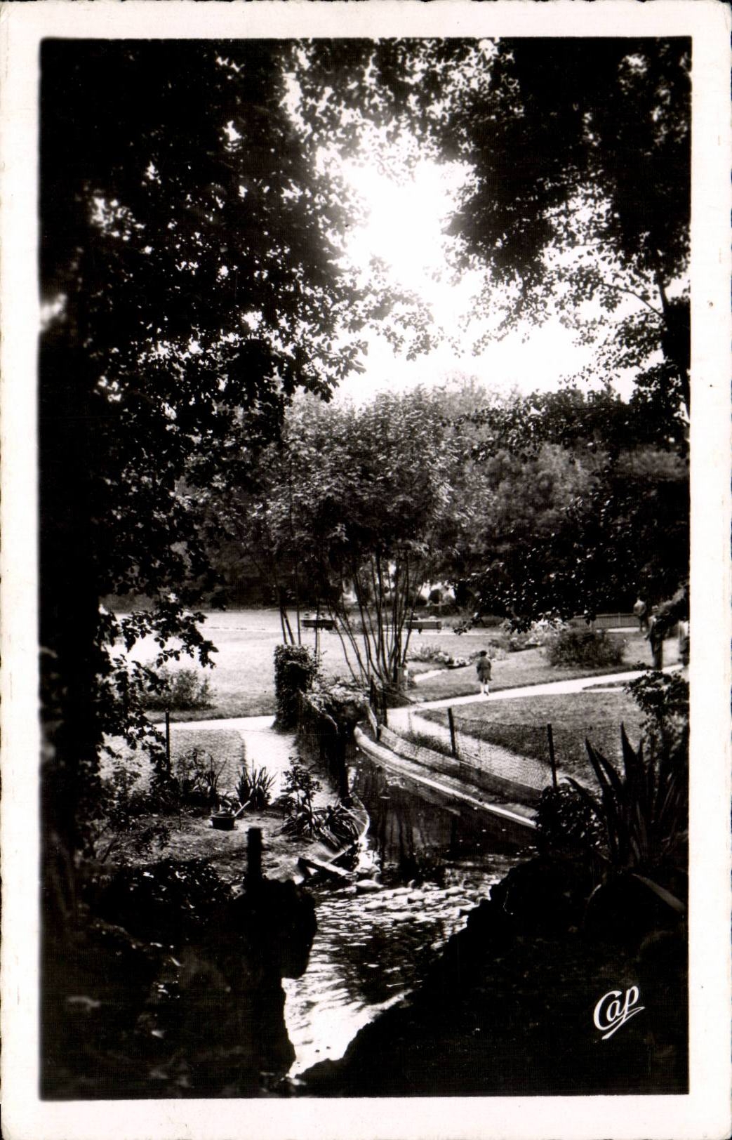CPA Luc sur Mer Le parc