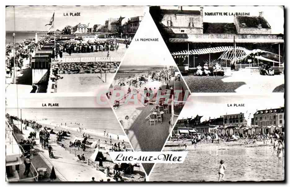 Luc-sur-Mer — Vue de la plage, promenade et squelette de baleine — CREAL-PHOTO