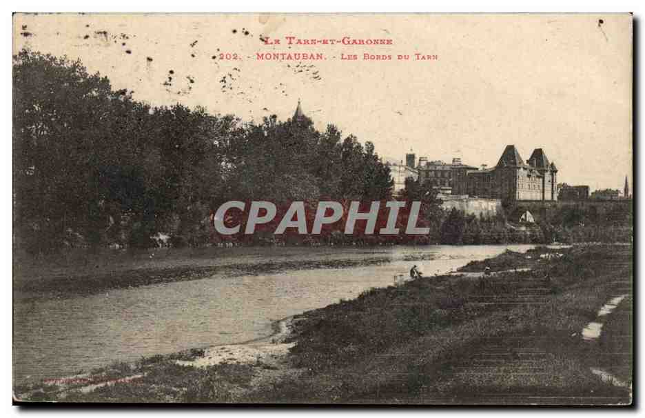 Montauban - Les Bords du Tarn - CPA 
