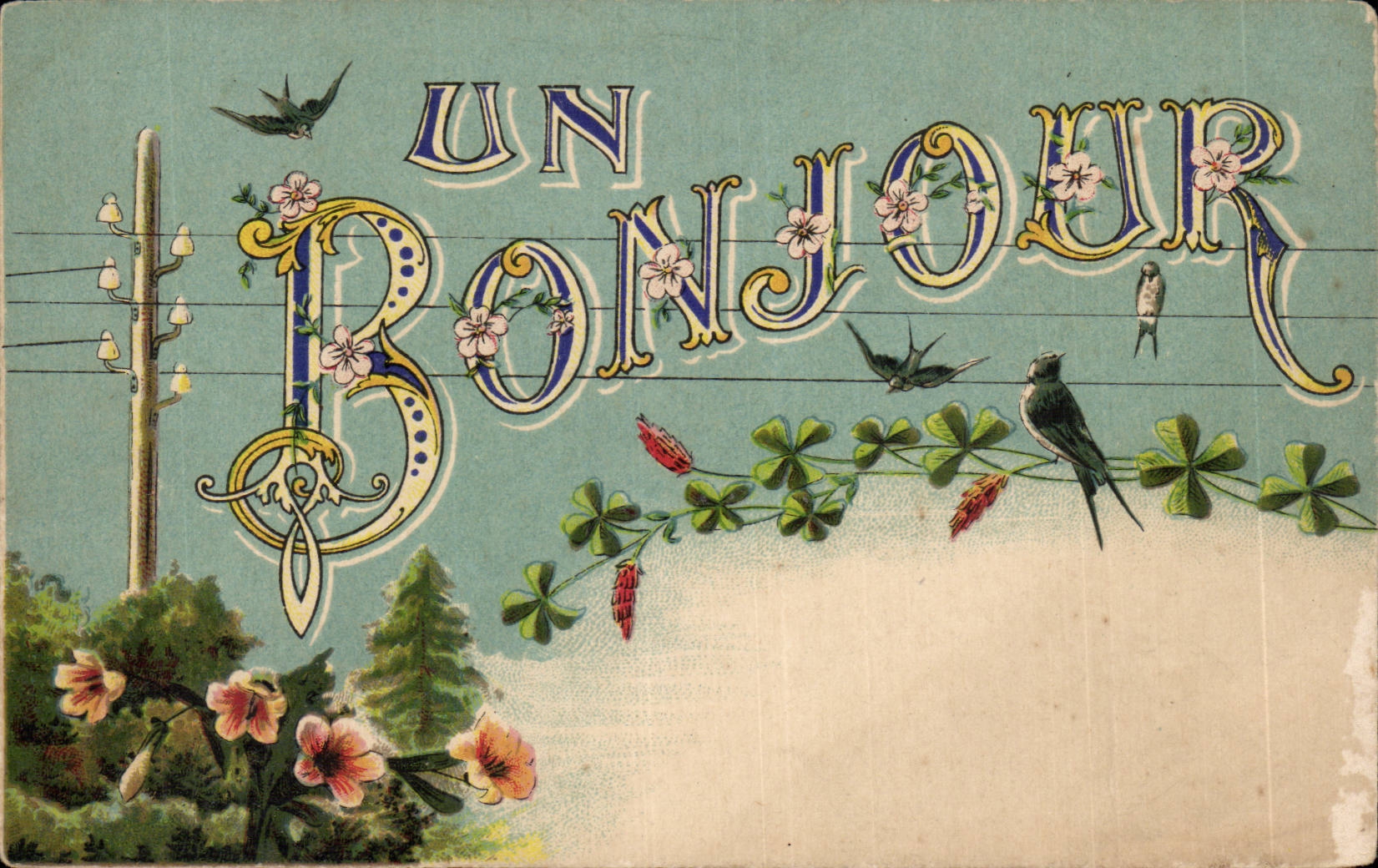 Animaux - Oiseaux - Birds - Bonjour - Souvenir - CPA 