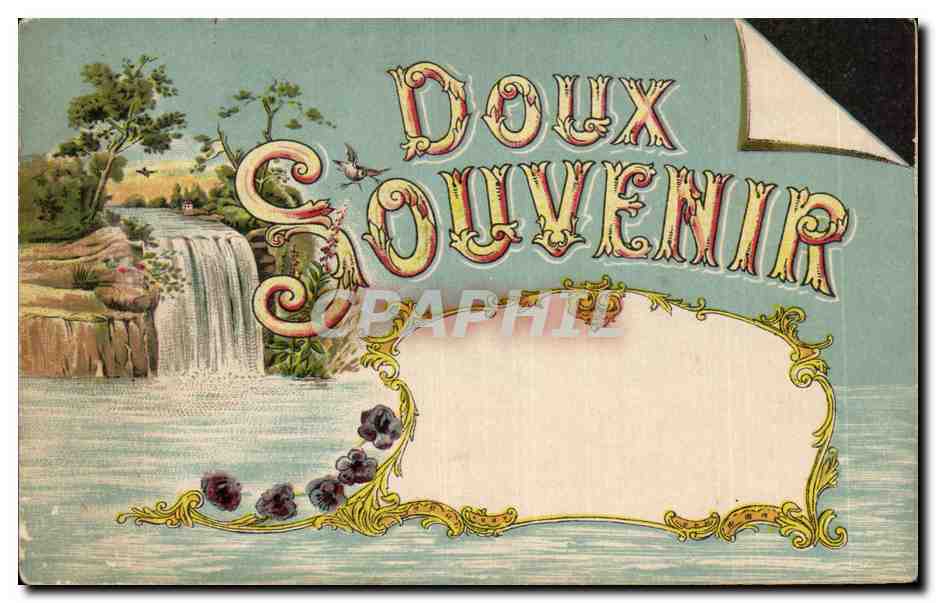 Animaux - Oiseaux - Doux Souvenir - Cascade - bird - Waterfall - CPA 