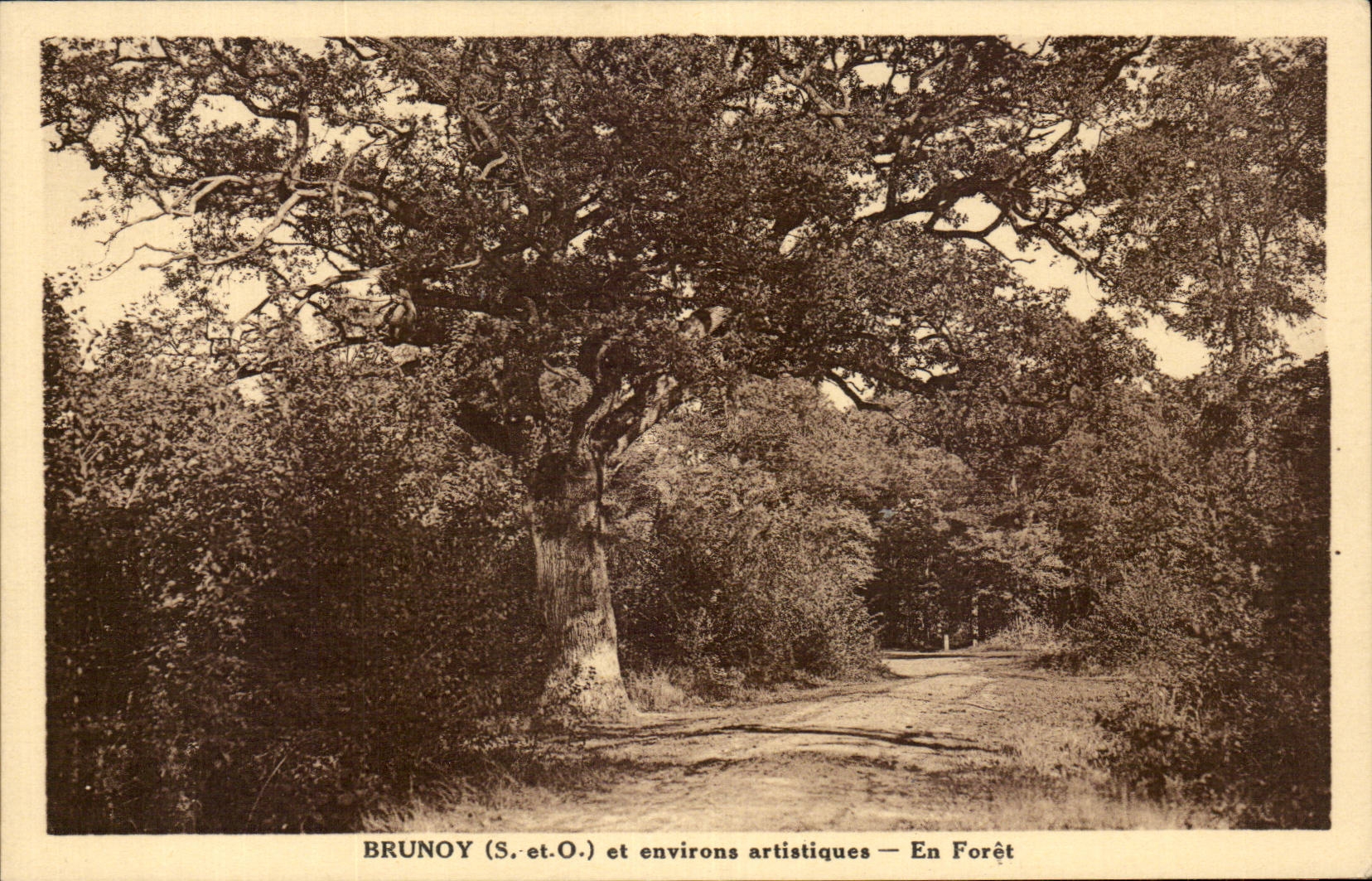 Brunoy - en Foret - environs artistiques - CPA 