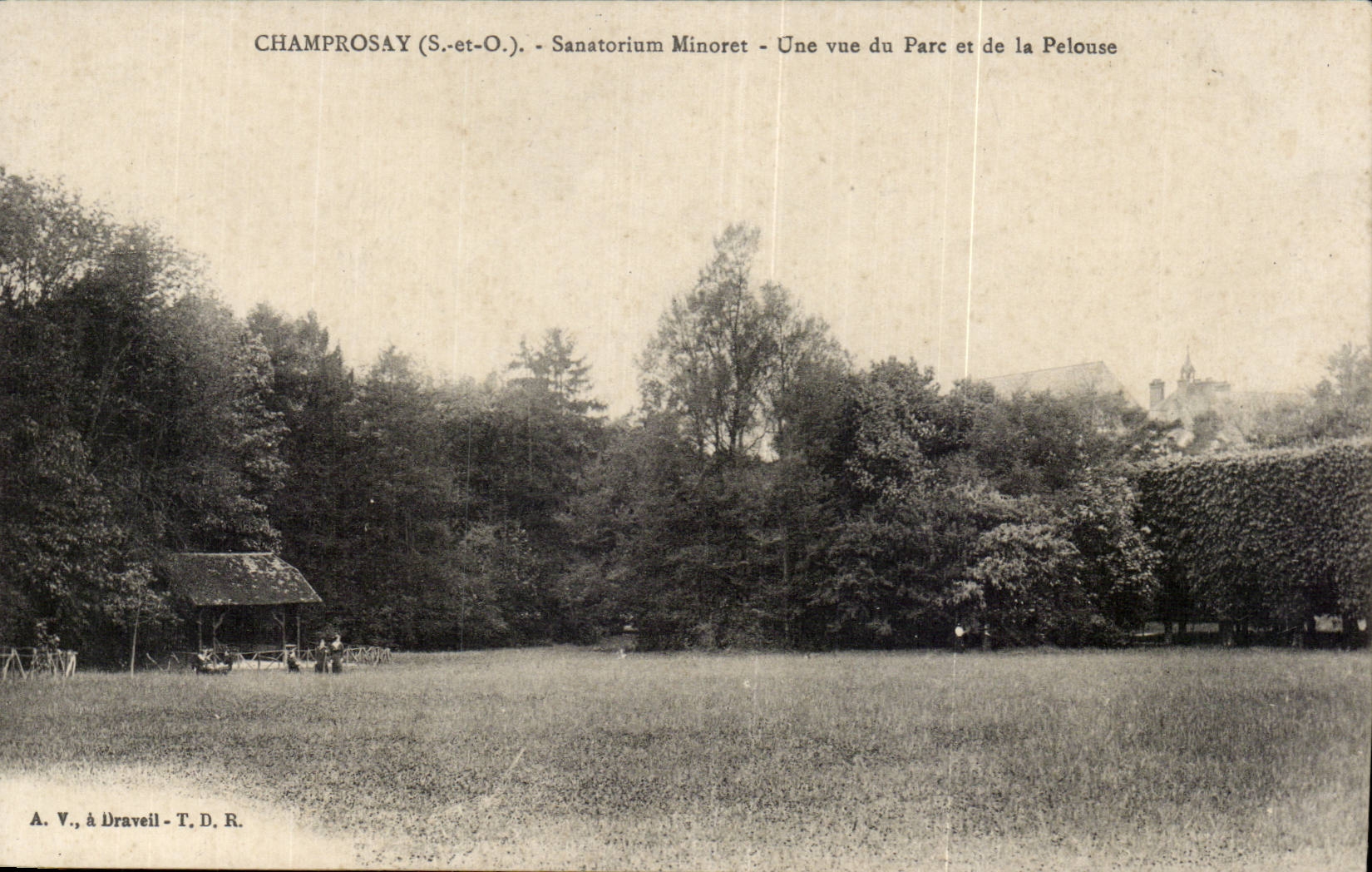 Champrosay (S.-et-O.) - Sanatorium Minoret - Une vue du Parc et de la Pelouse
