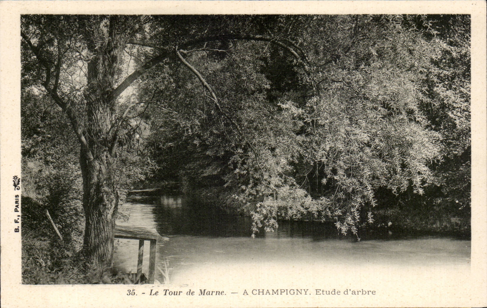CPA Champigny sur Marne Le tour de Marne Etude d'arbre Tree