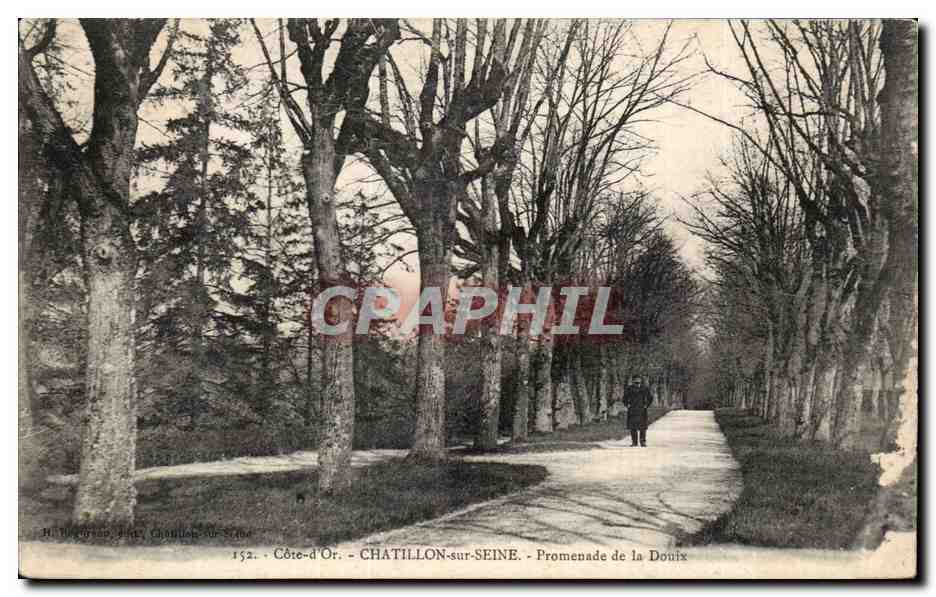 CPA Chatillon sur Seine Promenade de la Douix
