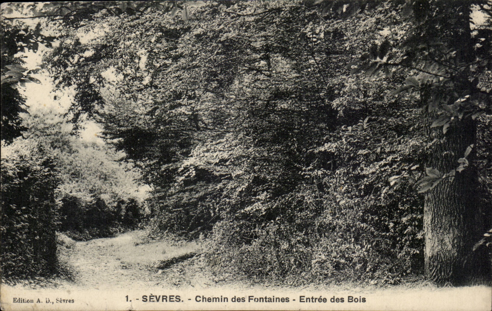 CPA Sevres Chemin des fontaines Entree des bois
