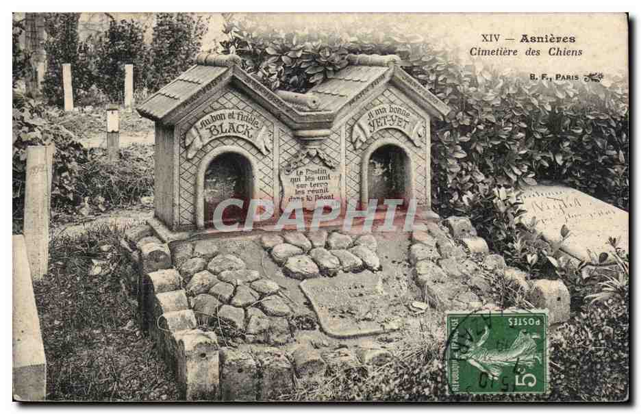 CPA Asnieres Cimetiere des chiens