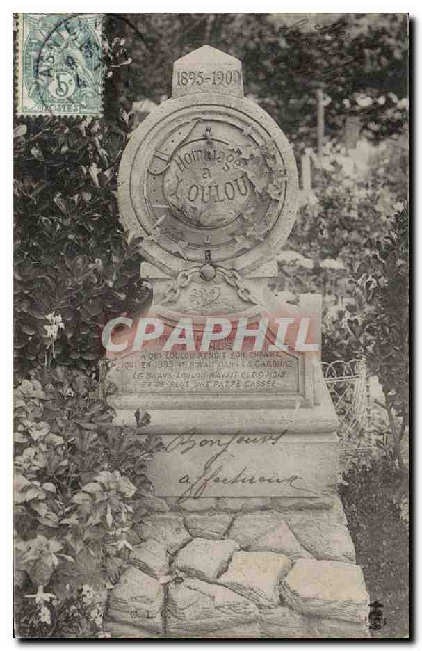CPA Asnieres Hommage a Loulou Chien Dog Cimetiere