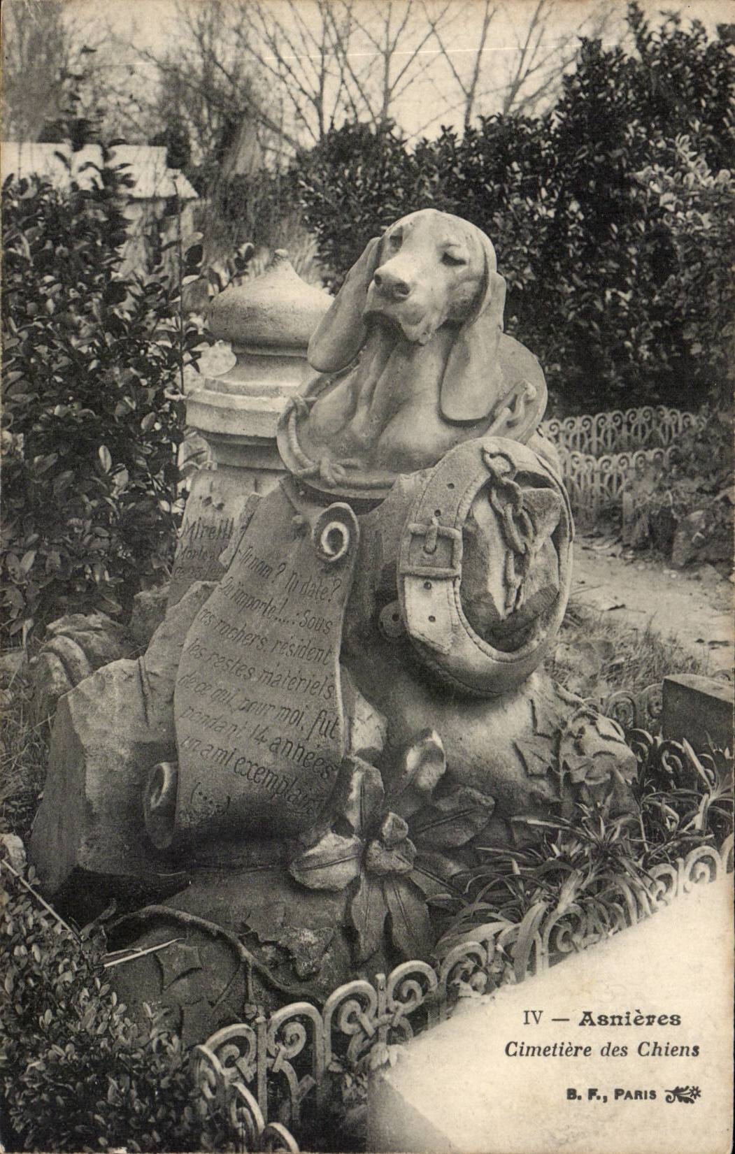 CPA Asnieres Cimetiere des chiens