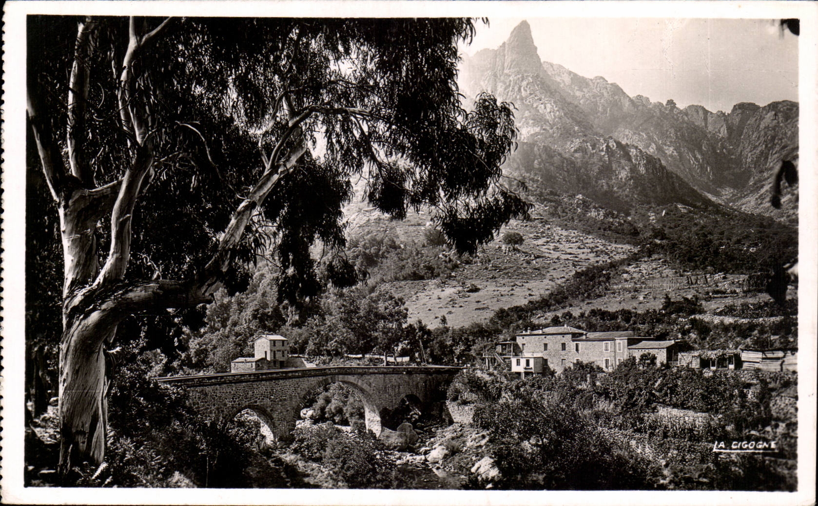 CPA Corse Corsica Porto Le pont et l'hotel