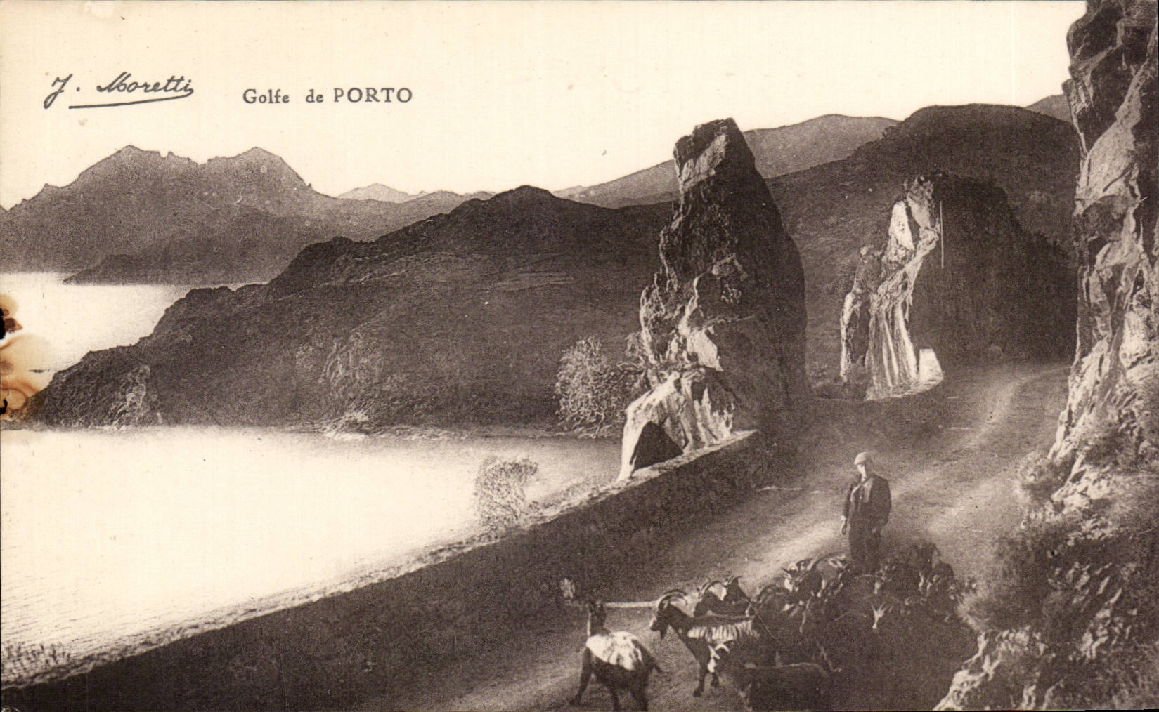 CPA Corse Corsica Golfe de Porto Goat Chevre