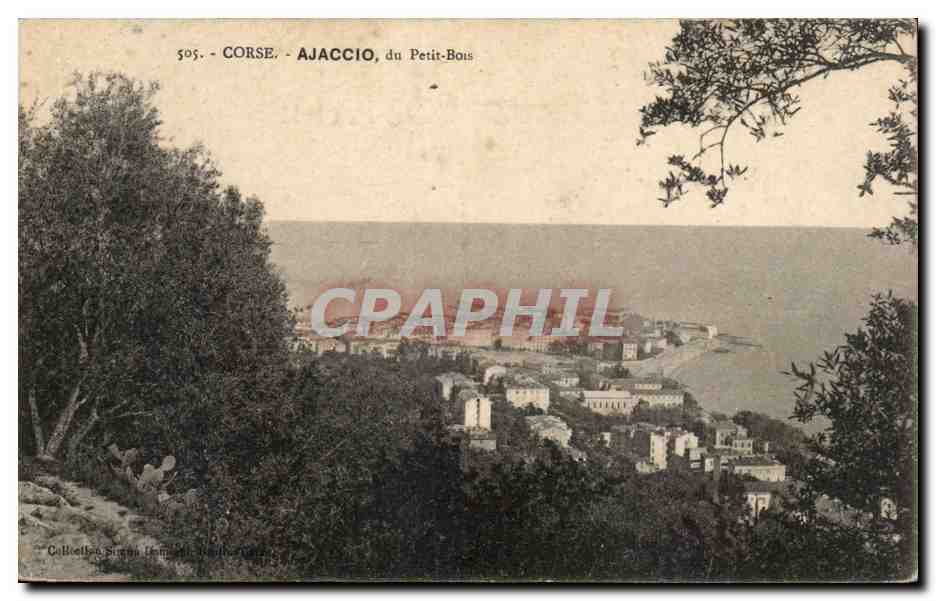 Corse - Corsica - Ajaccio - du Petit Bois - CPA 