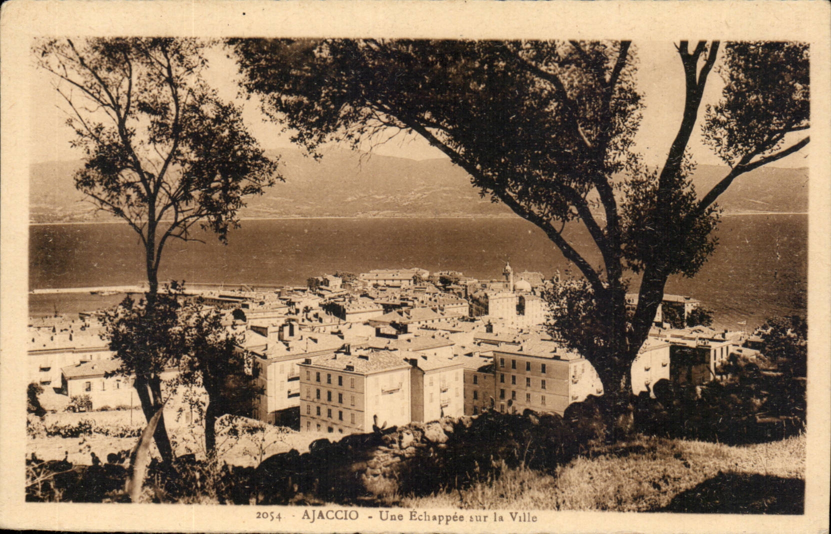Corse - Corsica - Ajaccio - Une echappee sur la Ville - CPA 
