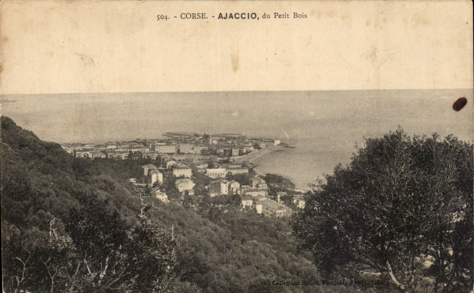 Corse - Corsica - Ajaccio - du Petit Bois - CPA 