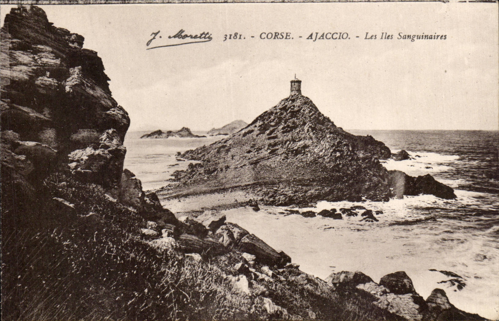 Corse - Corsica - Ajaccio - Les Iles Sanguinaires - CPA 