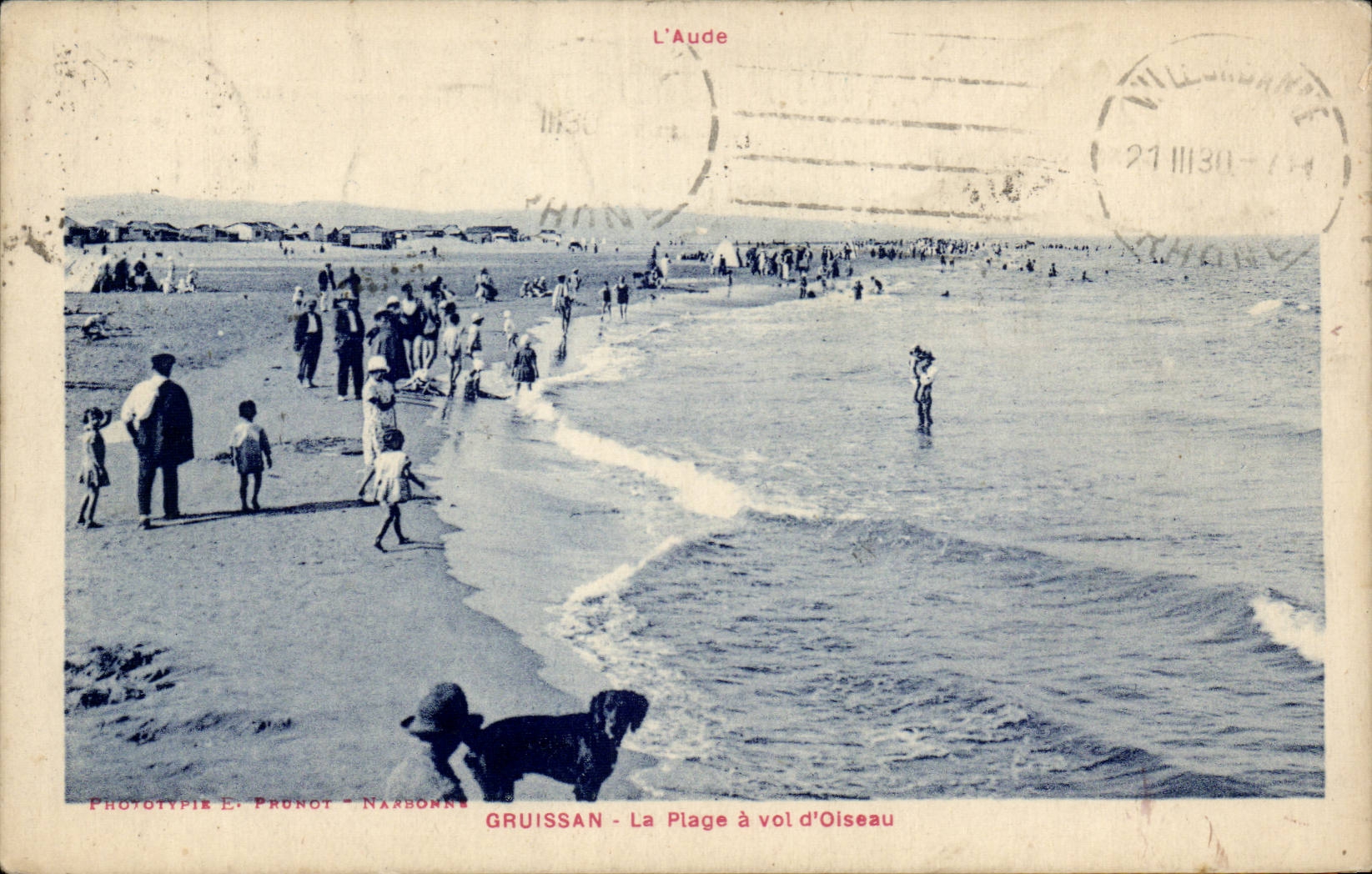 Gruissan - La Plage a Vol d'Oiseau - chien - dog - CPA 