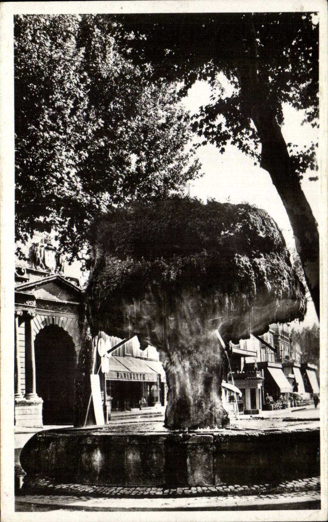 Salon de Provence - La Fontaine moussue - CPA 