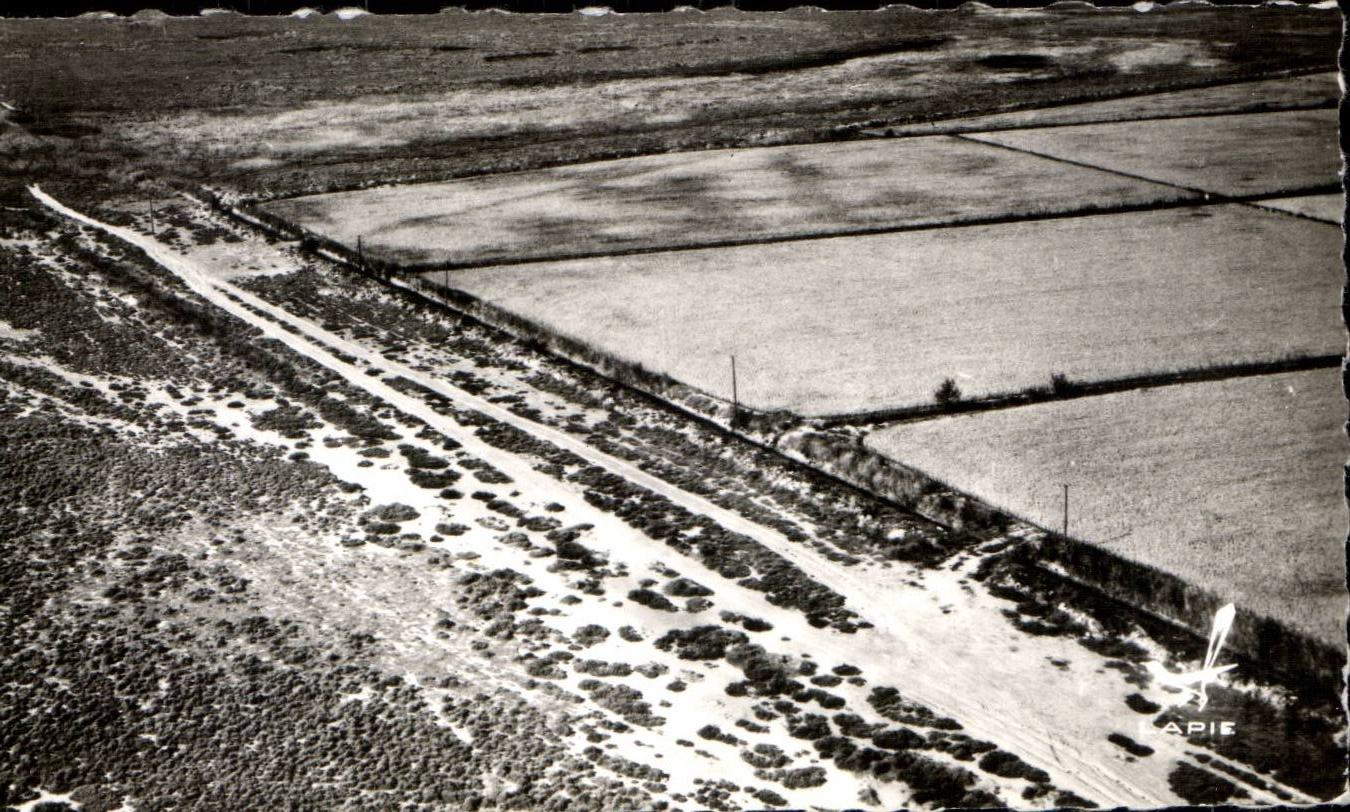 Agriculture - La Culture du Riz en Camargue - Le Sambuc - CPSM 