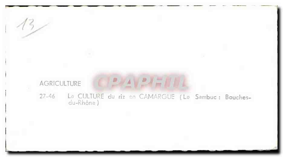 Culture du riz en Camargue — Le Sambuc : Bouches-du-Rhône — éditeur APiE — Verso