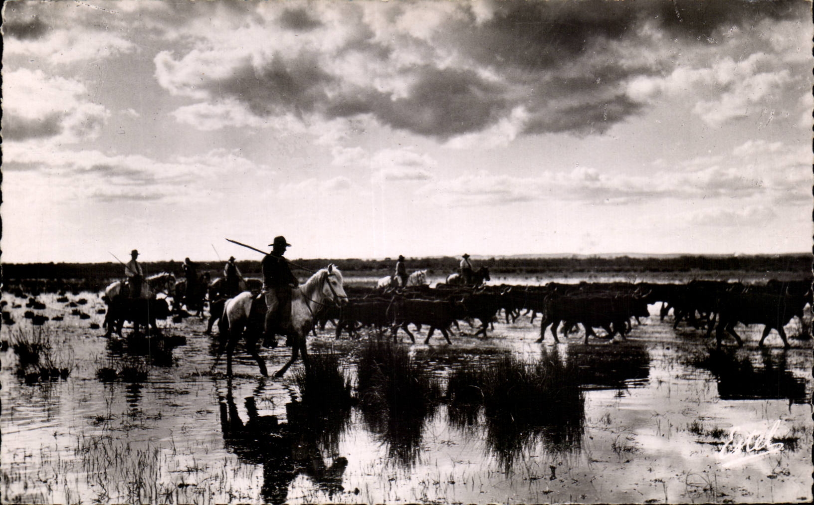 La Camargue — "Engasado" (traversée) d'un marais — Éditions de Lavelle & Cie