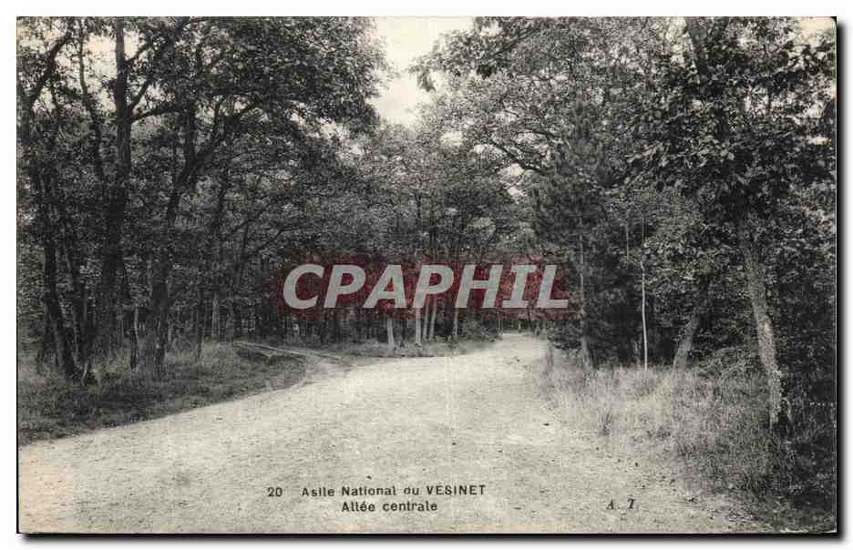 Vesinay - Asile National - Allee Centrale - CPA 