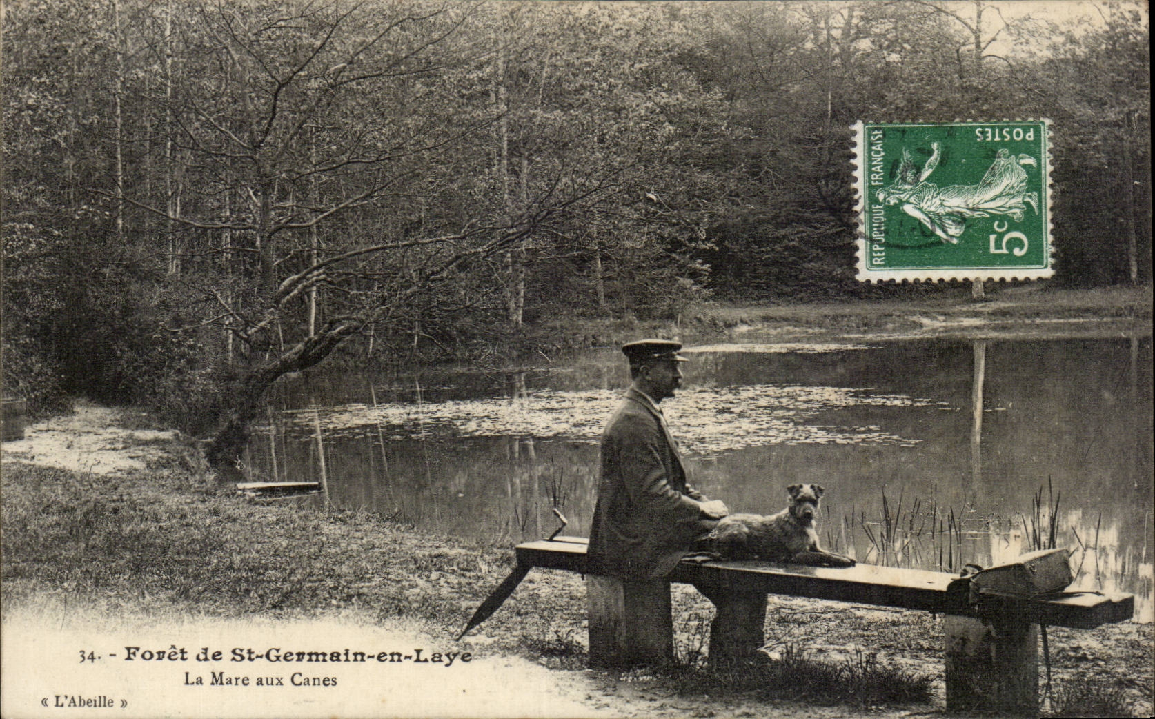 St Germain en Laye - Foret - La Mare aux Canes - chien - dog - CPA 