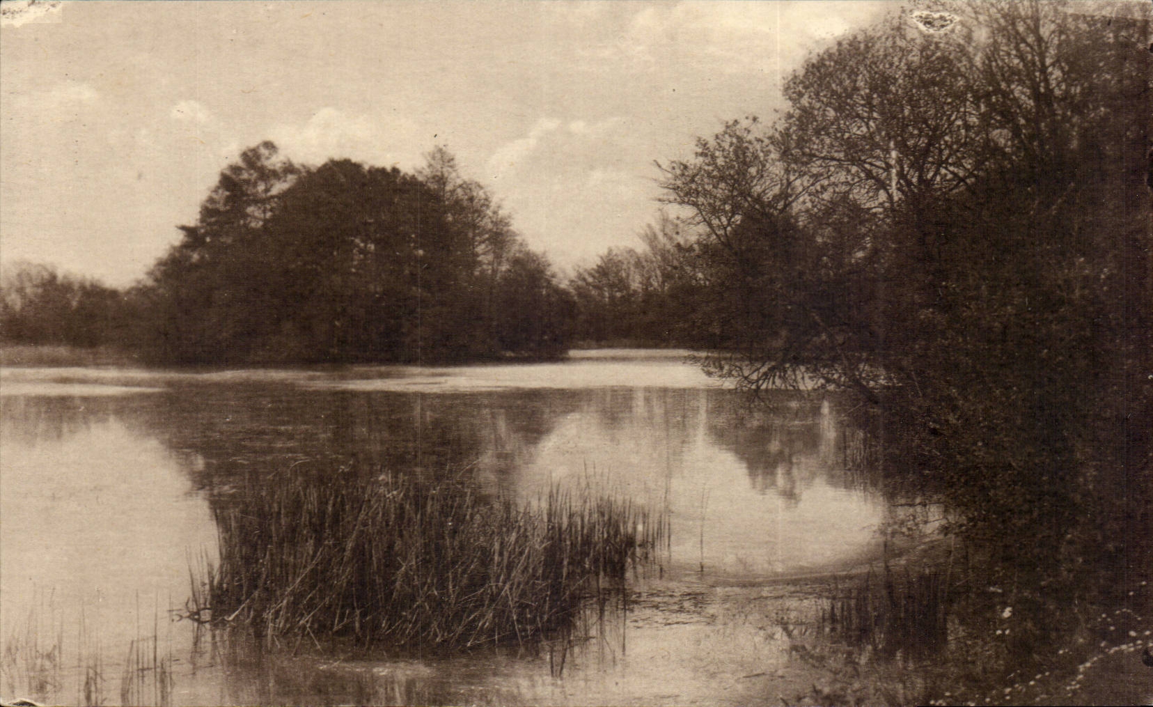 Der See der Ebene — Montfort-l'Amaury (S.-et-O.) — Verlag J. Warrant, n° 41