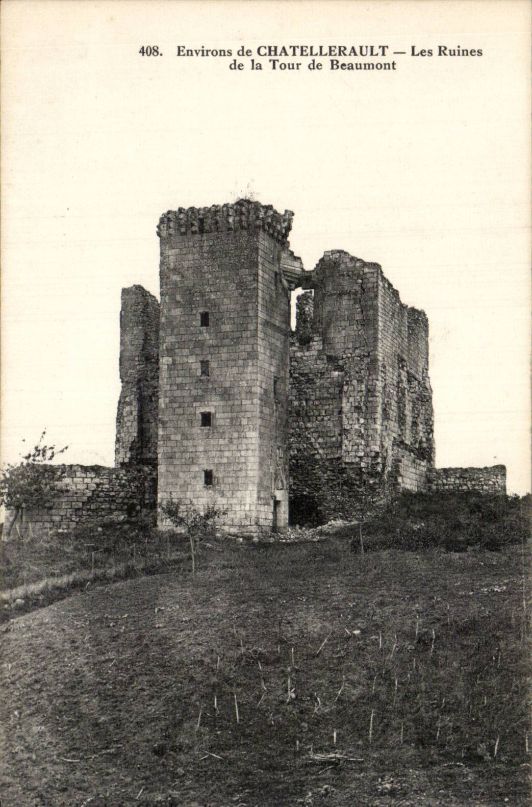 Environs de Chatellerault - Ruines de la Tour de Beaumont - CPA 