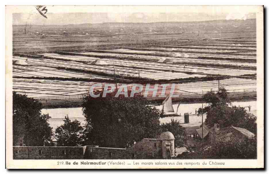 CPA Ile de Noirmoutier Les marais salants vus des remparts du chateau