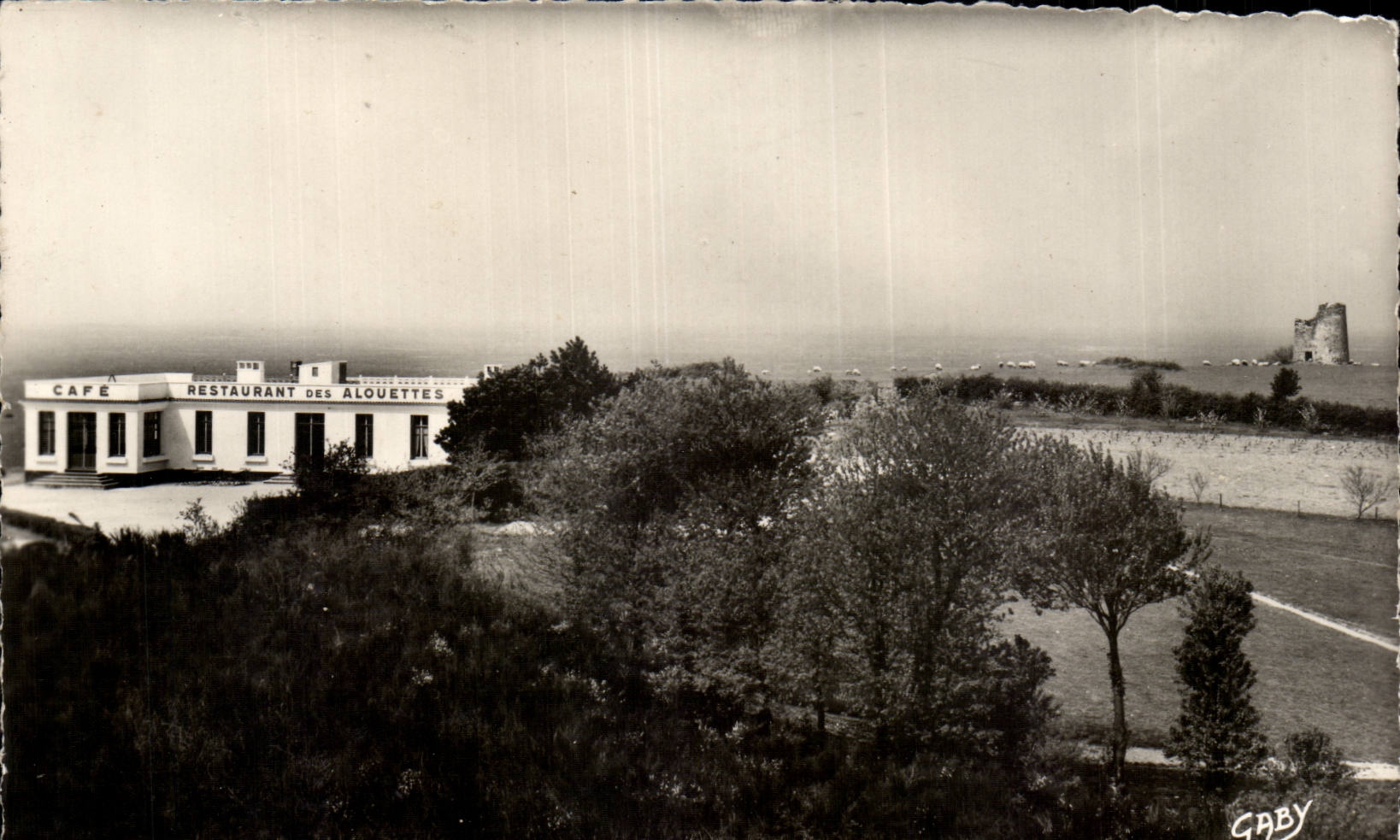 CPSM Le Mont des Alouettes pres Les Herbiers