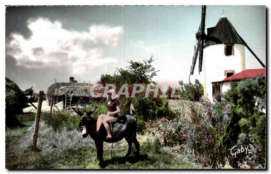 CPSM Saint Jean de Monts Le marais Bourine et moulin (ane donkey)