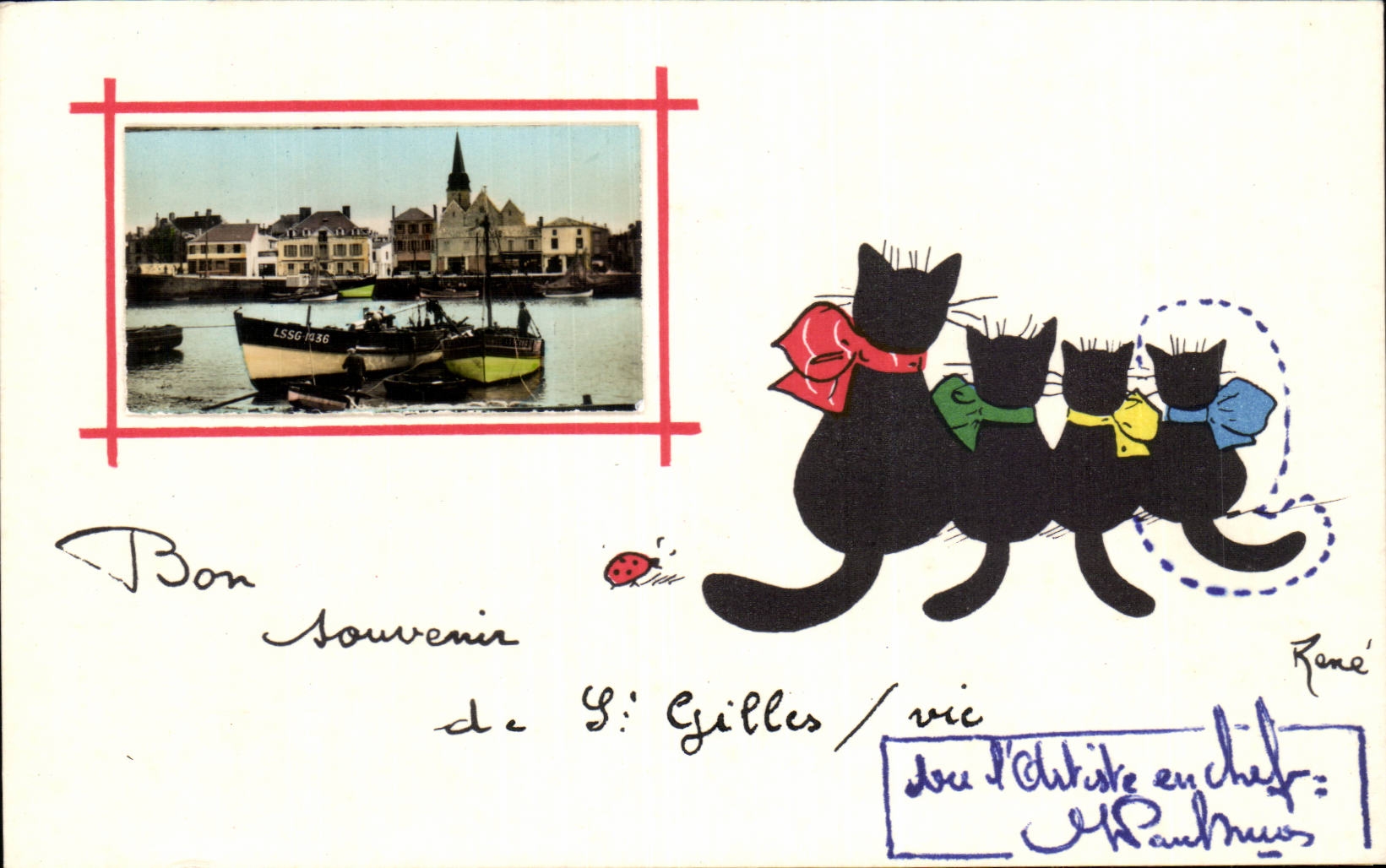 CPA Bon souvenir de St Gilles de Vie Chats CAts