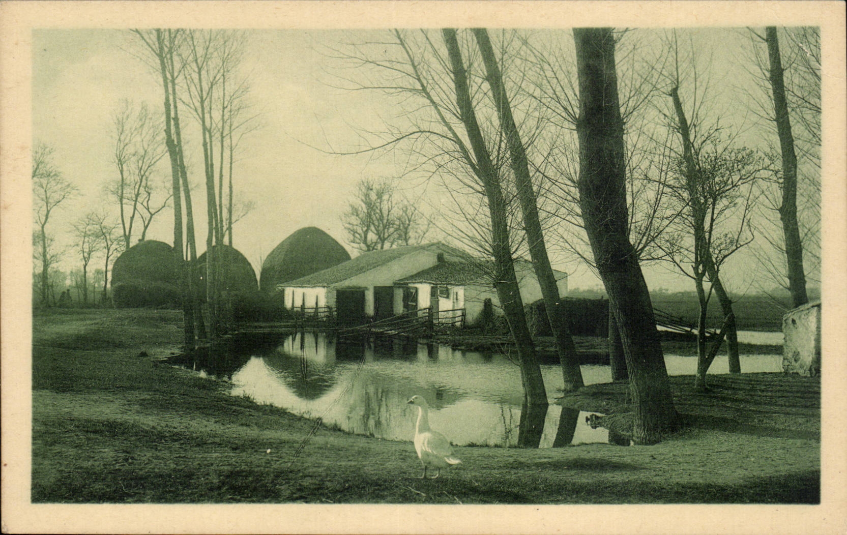 CPA Vendee maraichine Paysage d'hiver