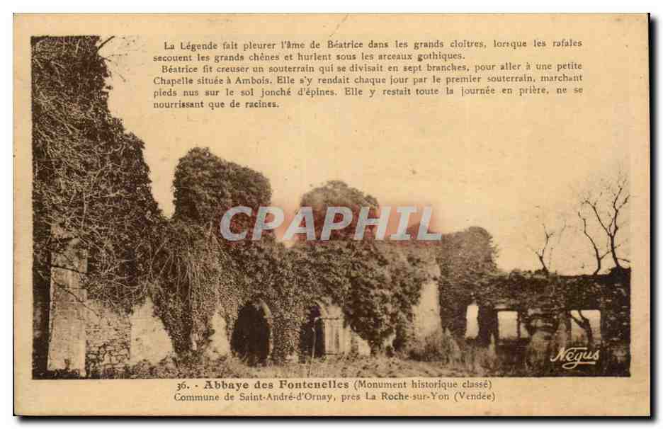 Abbaye des Fontenelles — ruines couvertes de végétation — Néguis, n°36