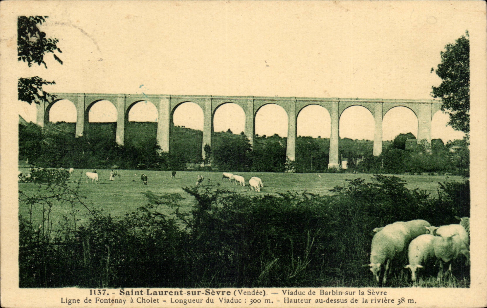 CPA Saint Laurent sur Sevre Viaduc de Barbin sur la Sevre Ligne de Fontenay a Cholet Moutons