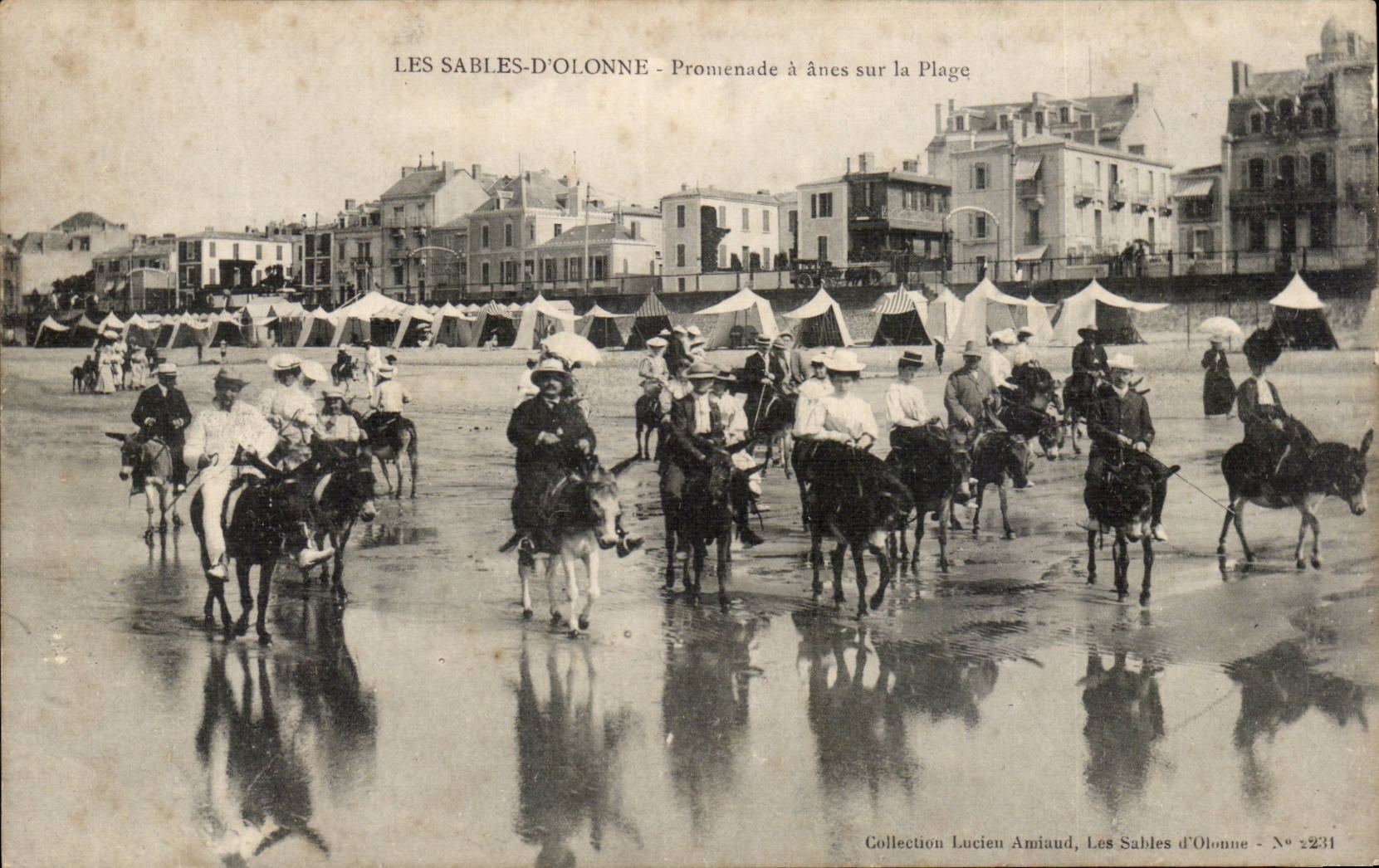 CPA Les Sables d'olonne Promenade a anes sur la plage donkey