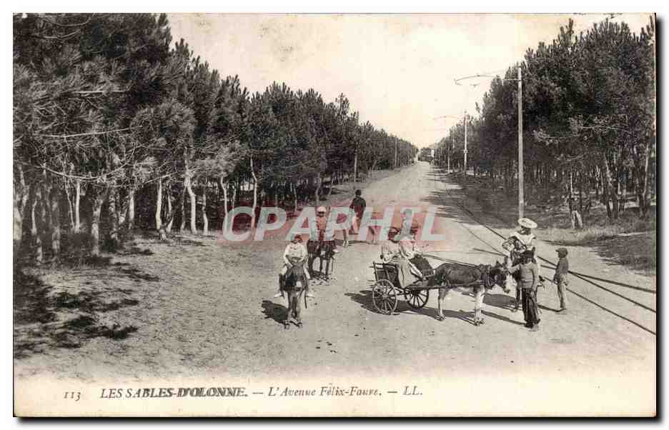 CPA Les Sables d'olonne Lavenue Felix Faure Ane Donkey 