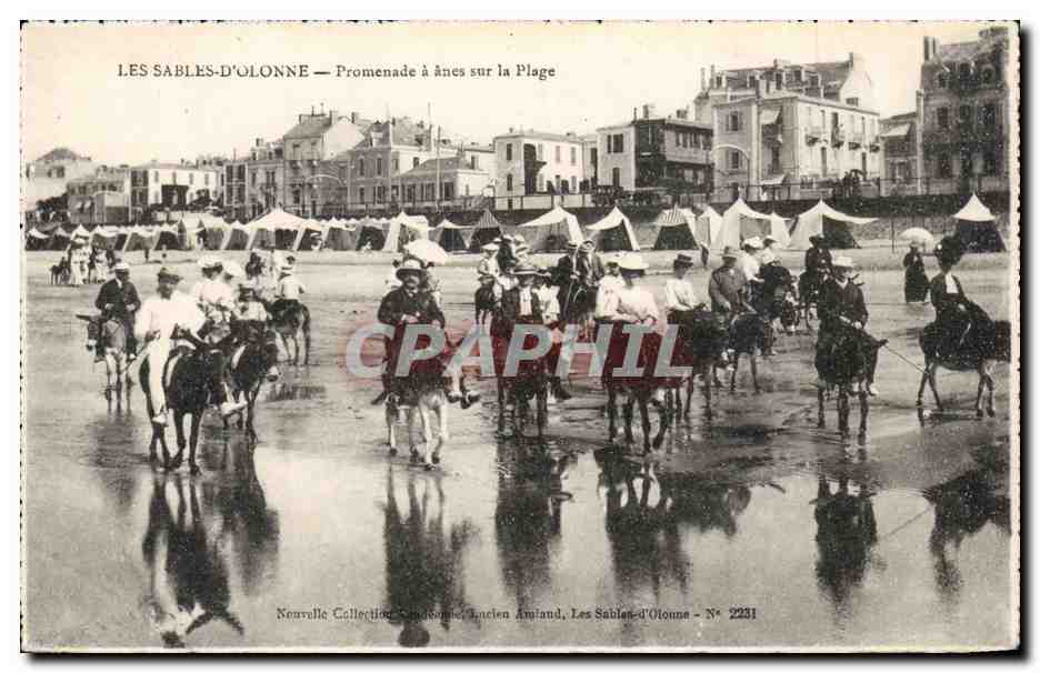 Les Sables-d'Olonne — Promenade à ânes sur la Plage — Nouvelle Collection, Lucien Auland, N° 2231