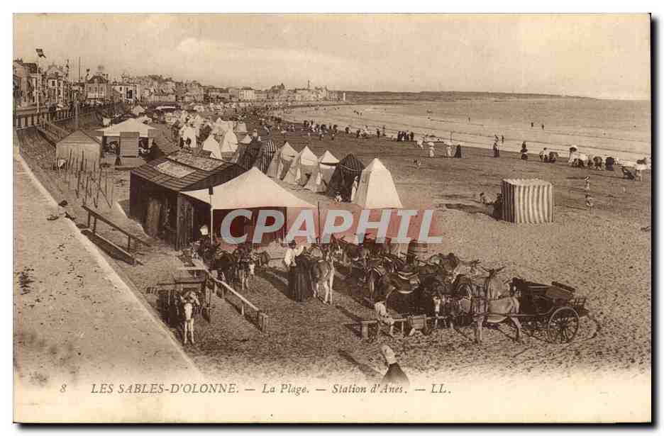 CPA Les Sables D'olonne La plage Station d'anes Ane Donkey Mule