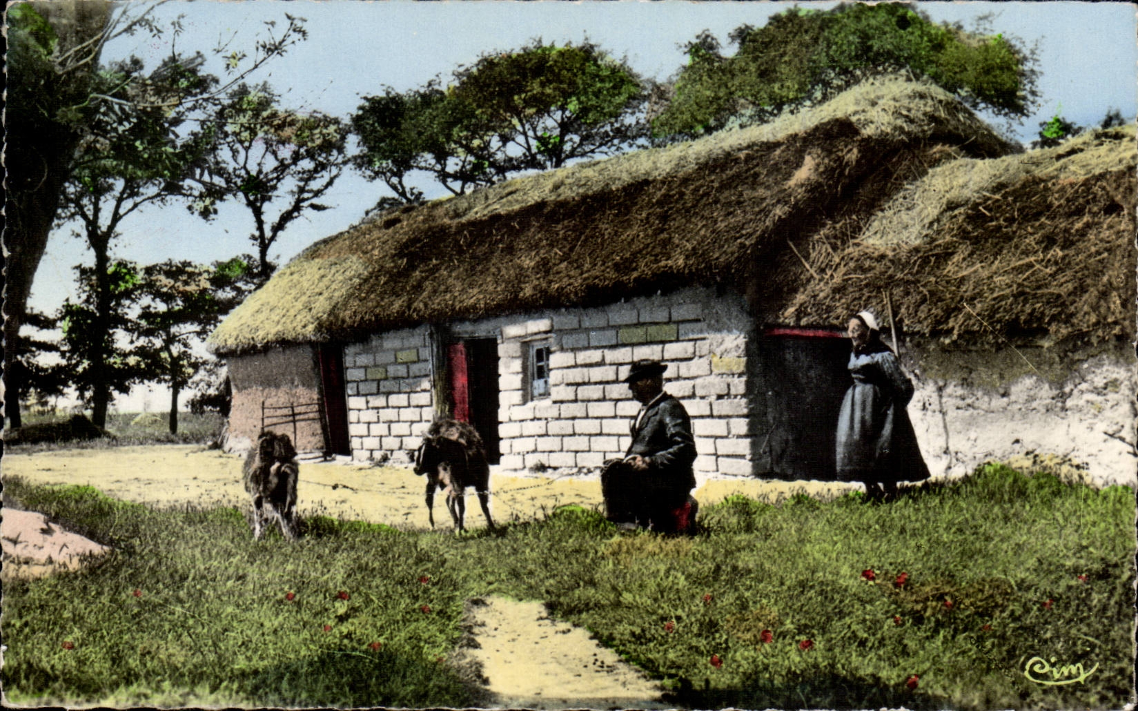 Une Bourine dans les Marais — Visions en Vendée — éditeur C. Vim