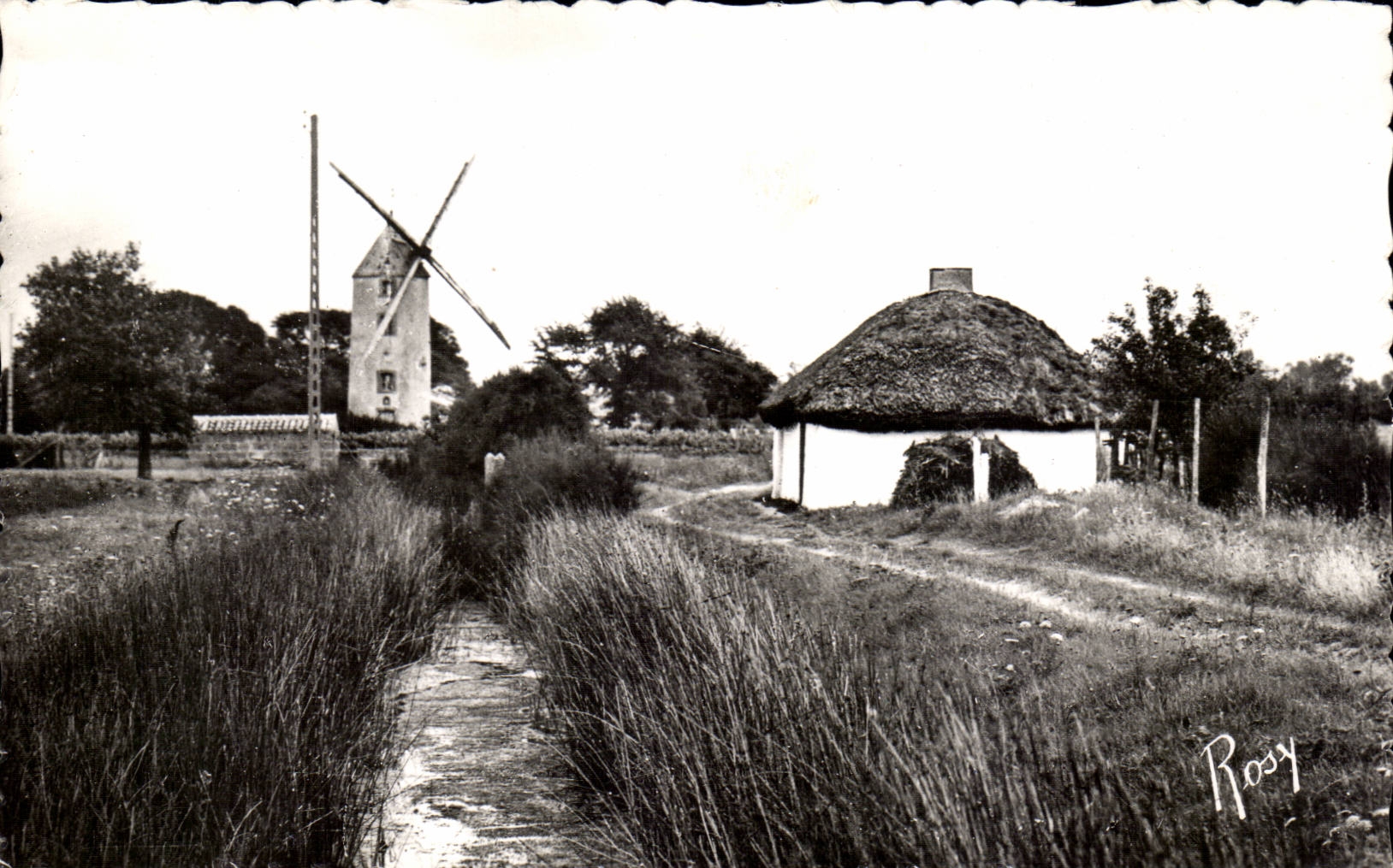 CPSM En Vendee Bourrine et moulin du pays maraichin