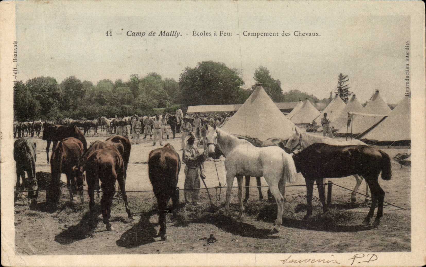 Camp de Mailly — Escuelas a fuego — Campo de caballos — Recuerdo P.D.